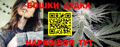 spice Новозыбков
