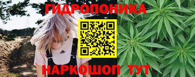 spice Новозыбков