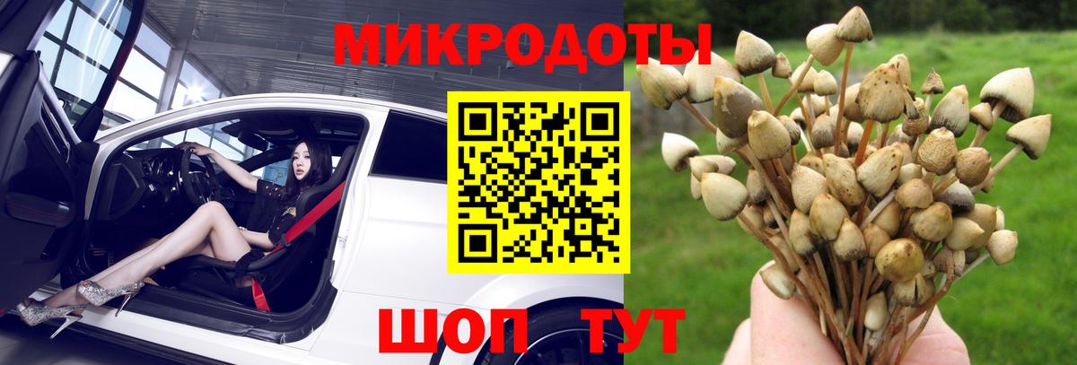 Псилоцибиновые грибы MAGIC MUSHROOMS Якутск